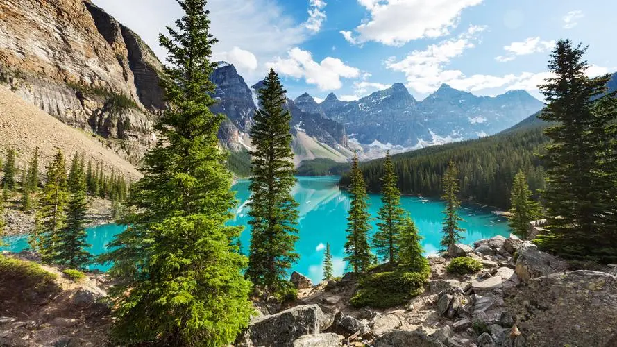 智能化精密高标准